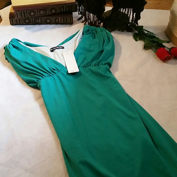 Blackberry dress - Picture 3 of 4